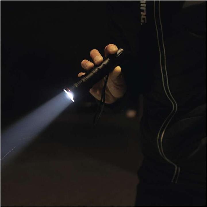 Immagine prodotto Emos Torcia LED in metallo, 120 lm, 2× AAA, FOKUS (13.10 cm, 120 lm)