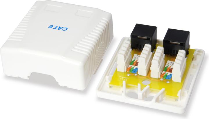 Actual product image equip Box 2x surface mount (Network Accessories)