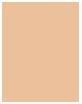 Produktbild L'Oréal Paris Age Perfect BB Cover (02 Light Beige, 30 ml)