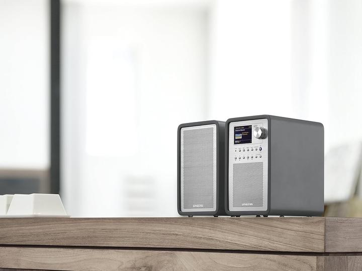 Actual product image Sangean Wfr-70 (DAB+, Web radio, Wi-Fi)