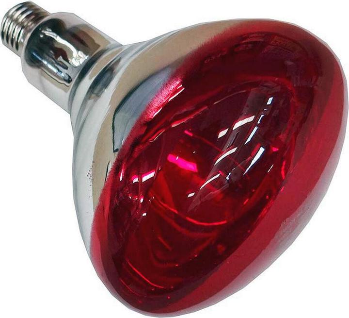 Actual product image Philips Infrared lamp BR125 (250 W)