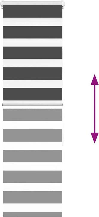 Produktbild vidaXL Zebra-Jalousie (45 x 150 cm)