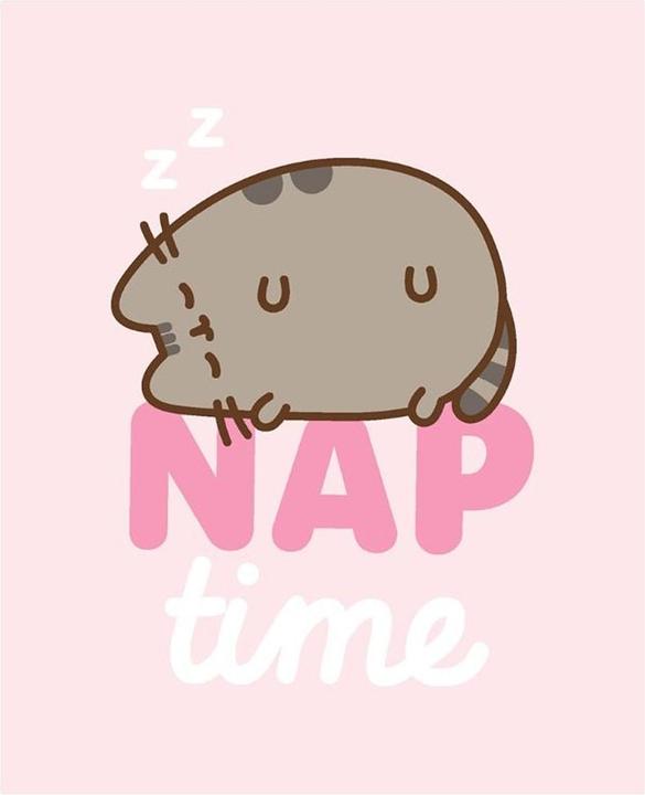 Produktbild Pusheen Nap Time Decke Fleece (160 x 130 cm)