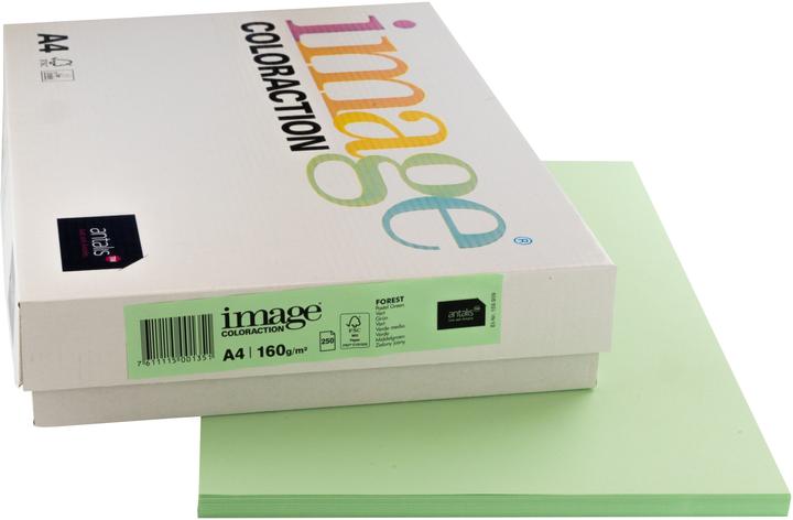 Image du produit Image Papier à copier Forest A4 (A4, 250 feuilles, 160 g/m²)