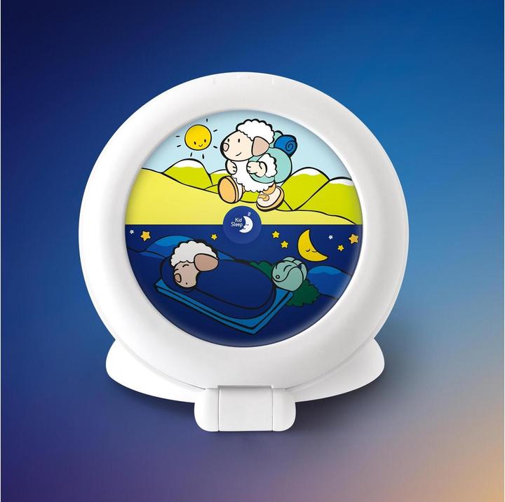 Actual product image Pabobo Globetrotter