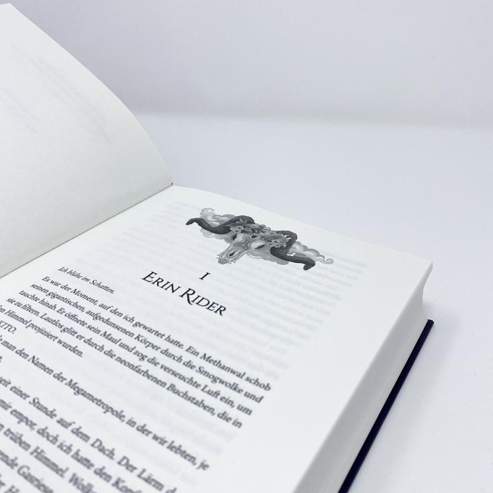 Actual product image Die Clans von Tokito – Lotus und Tiger (German, Caroline Brinkmann, Katharina Netolitzky, 2021)