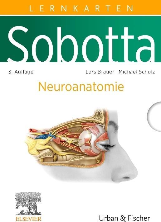 Produktbild Bräuer:Sobotta Lernkarten Neuroanatomie (Deutsch, Michael Scholz, Lars Bräuer, 2024)