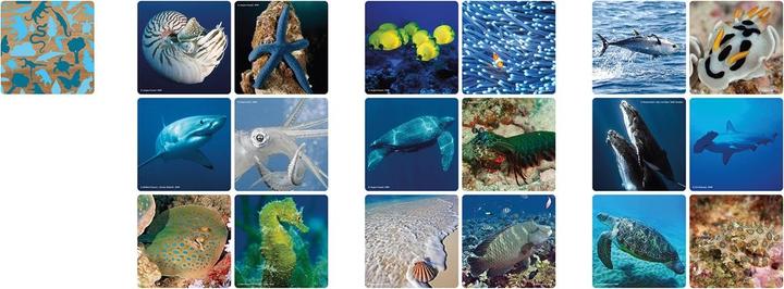 Actual product image Merchant Ambassador Memo underwater (German, Italian, French)
