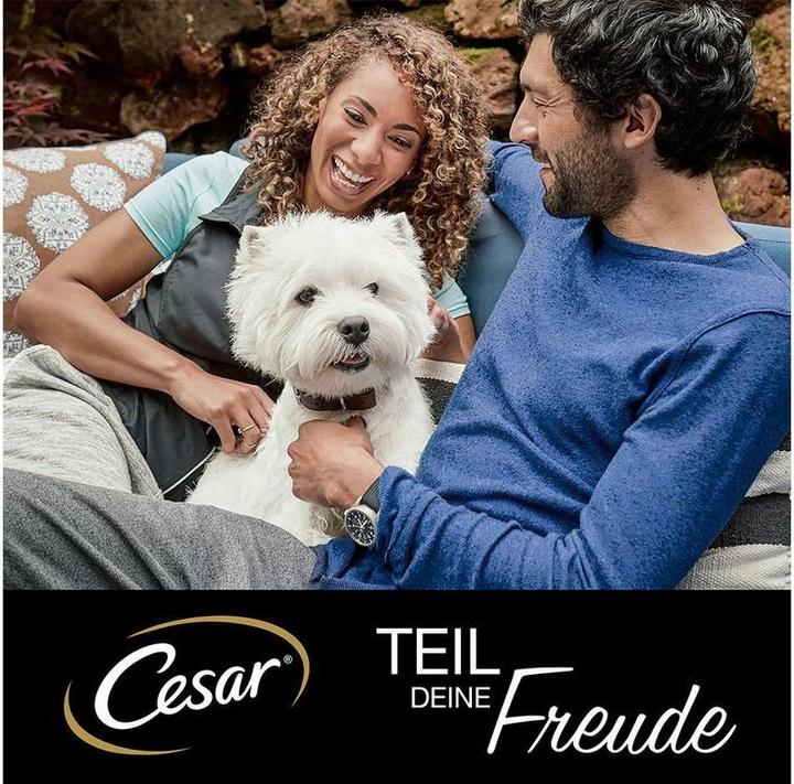 Produktbild Cesar Selektion Sauce, 12x100g (Adult, 12 Stk., 1200 g)