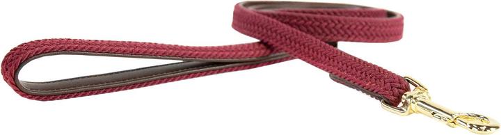 Produktbild Kentucky Dogwear Geknüpfte Nylon Hundeleine (L, Hund)
