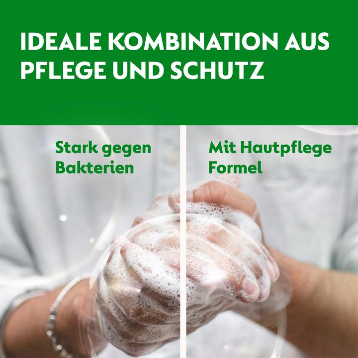 Immagine prodotto Dettol Ricarica di sapone igienico No-Touch alla camomilla - 250 ml (Ricarica, 250 ml)