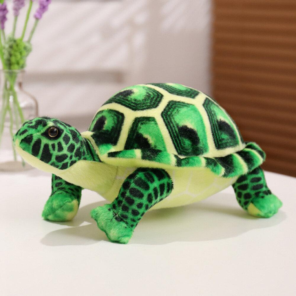 Lean Toys Lean Plüsch Schildkröte Kuscheltier Maskottchen Grün 25Cm
