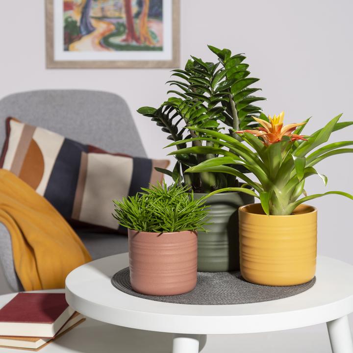 Produktbild Scheurich Cottage, Blumentopf aus Keramik, Farbe: Curcuma, 22,7 cm Durchmesser, 20,7 cm hoch, 6,9 l (22.70 cm)