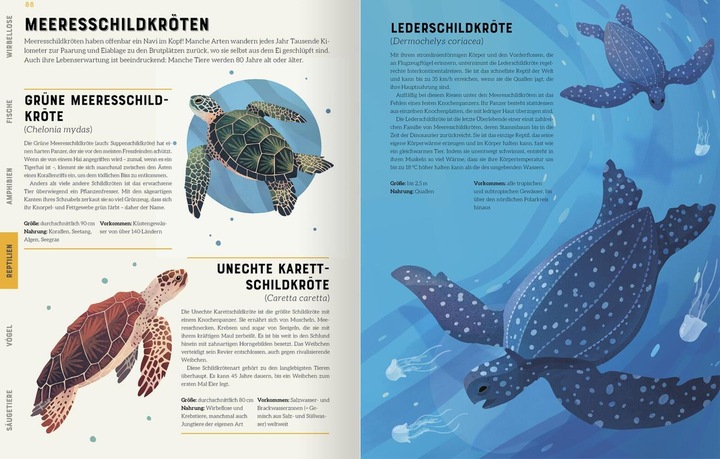 Produktbild Das grosse Lexikon der Tiere (Deutsch, Jules Howard, 2022)