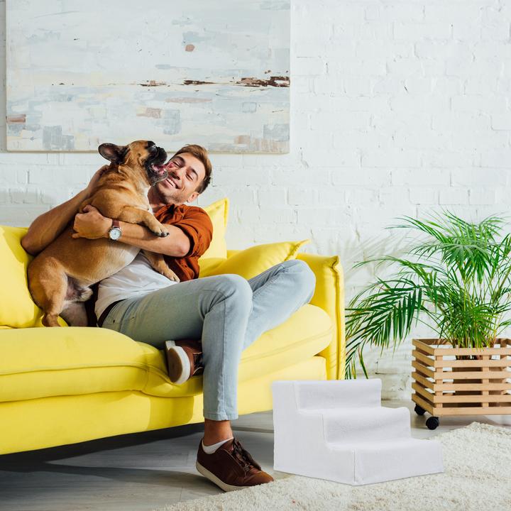 Actual product image Relaxdays Dog Steps (Dog, Washable)