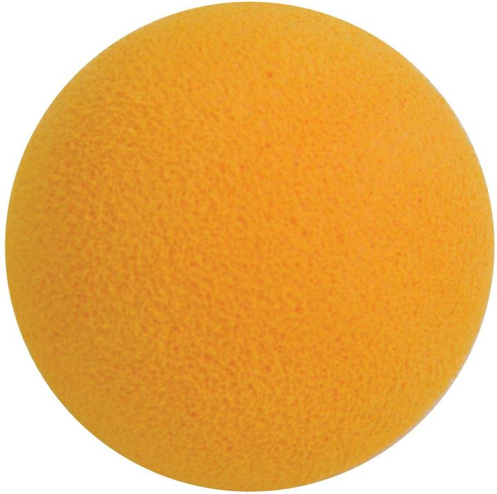 Produktbild Schildkröt Fire Blasters Set