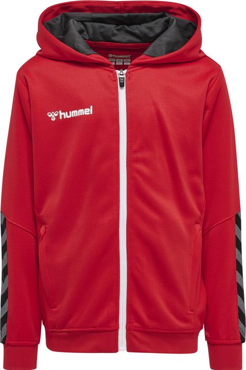 Produktbild hummel Authentic Kids Poly Zip Hoodie (176)