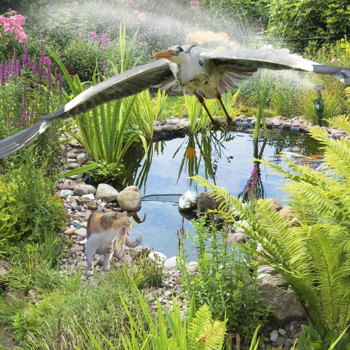 Image du produit Gardigo Repousse l'eau des animaux
