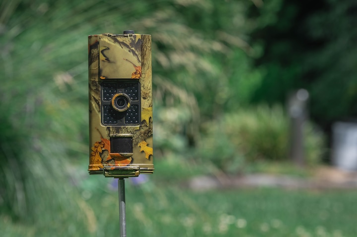 Produktbild Braun Photo Scouting Cam Black700