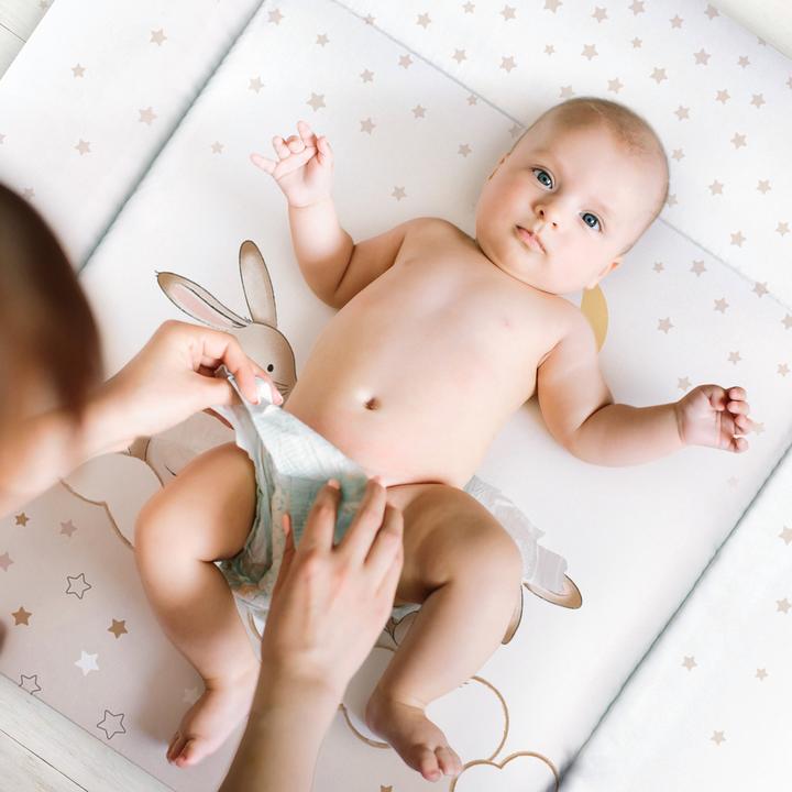 Transparent Lapin de rêve