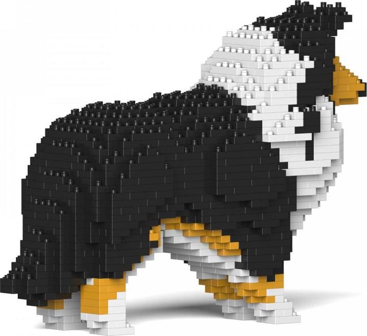 Produktbild Jekca Limited Shetlandinsel-Schäferhund
