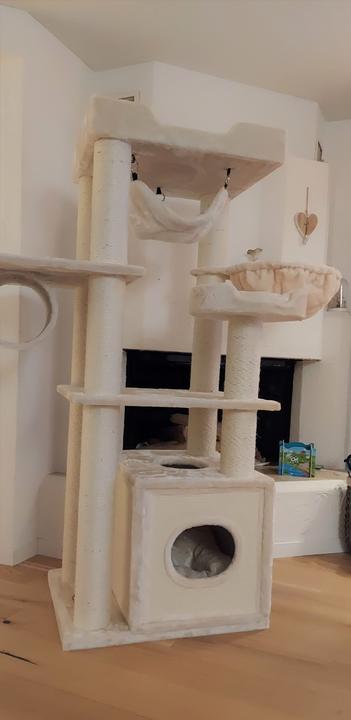 Produktbild Pet Homes Casablanca (175 cm, Creme)