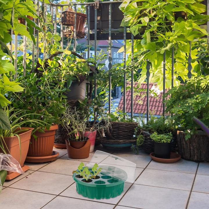 Actual product image Relaxdays 2x propagator greenhouse