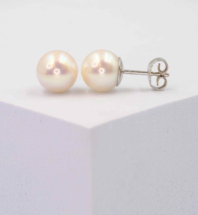 Image du produit Muau Boucles d'oreilles (750 Perle Akoya)