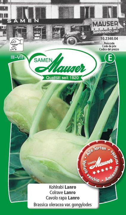 Produktbild Samen Mauser Kohlrabi Lanro (Gemüsesamen)