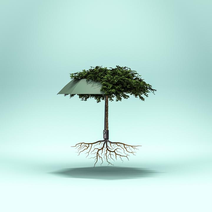 Actual product image Knirps Vision