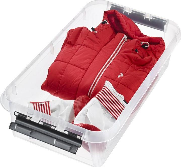 Immagine prodotto Ebnat Scatola di trasporto con coperchio e rotelle (31 l, 1x)