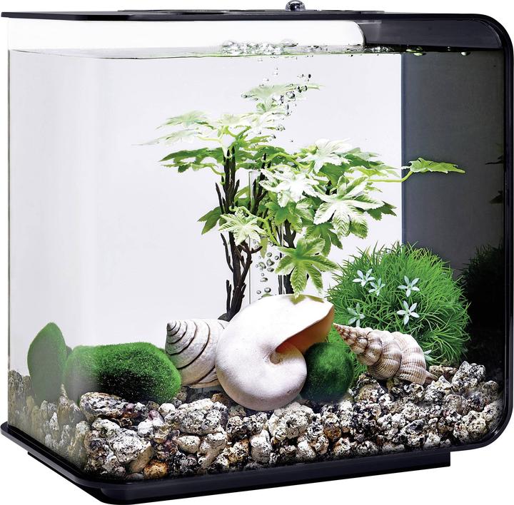 Image du produit Oase 55026 Décoration d'aquarium 15 l (Décoration, autres bâtiments)