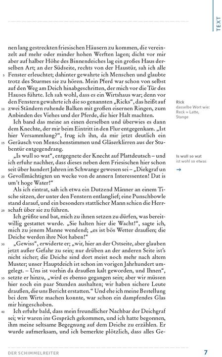 Produktbild Der Schimmelreiter (Deutsch, Theodor Storm, 2020)