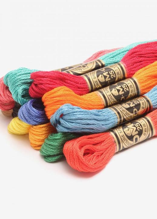 Actual product image DMC embroidery thread set Passion (117 m)