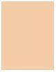 Image du produit Shiseido Synchro Skin Self-Refreshing - Fond de teint SPF 30 Shell 160 (160 Shell)