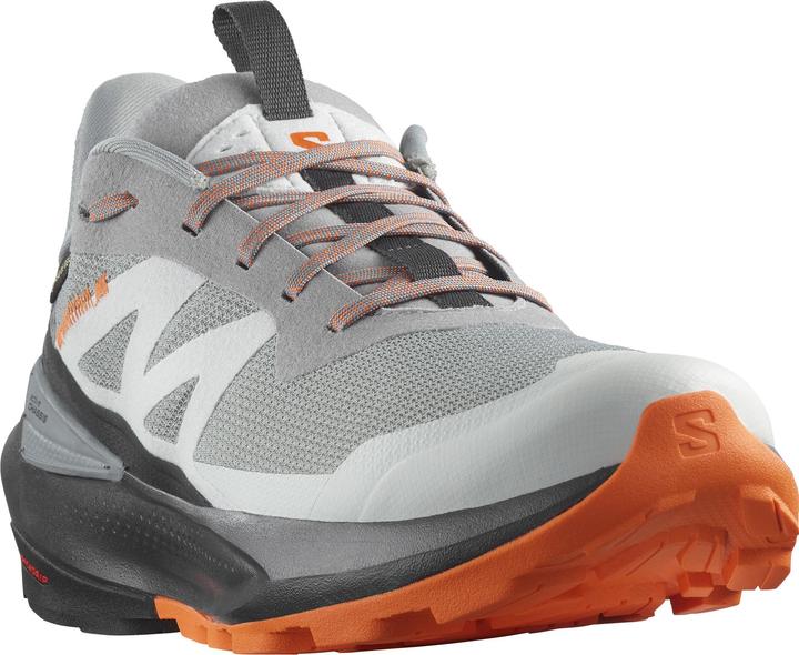 Image du produit Salomon Elixir Activ GTX (42 2/3)