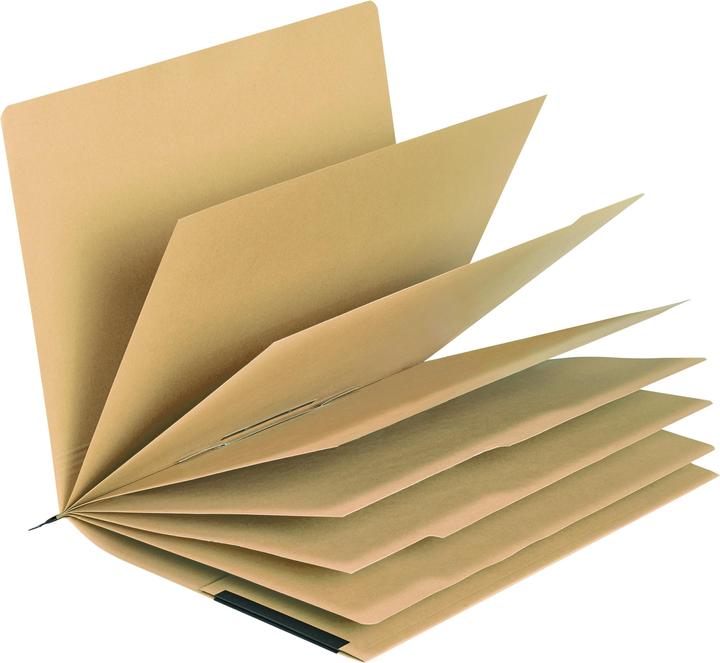 Actual product image Falken Personal file UniReg DIN A4 commercial stapling kraft cardboard natural brown (A4, 20 x)