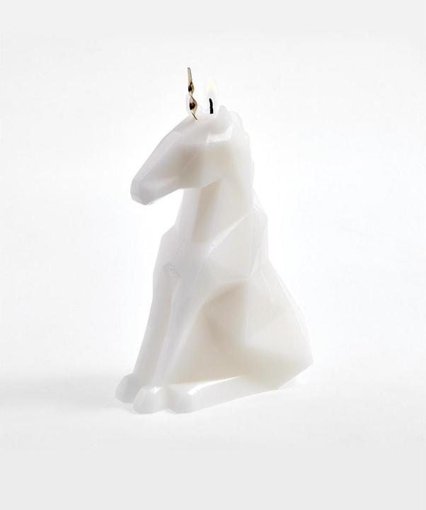 Actual product image 54Celsius PyroPet Einar (1 pcs.)