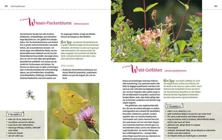 Immagine prodotto Mein Schmetterlingsgarten (Tedesco, Elke Schwarzer, 2022)