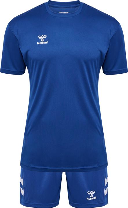 Trueblue