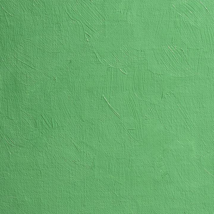 Image du produit BlockX - Vert veronese (200 ml)