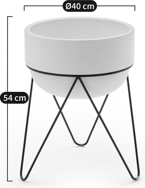 Produktbild AM.PM Plantae (40 x 25 cm)