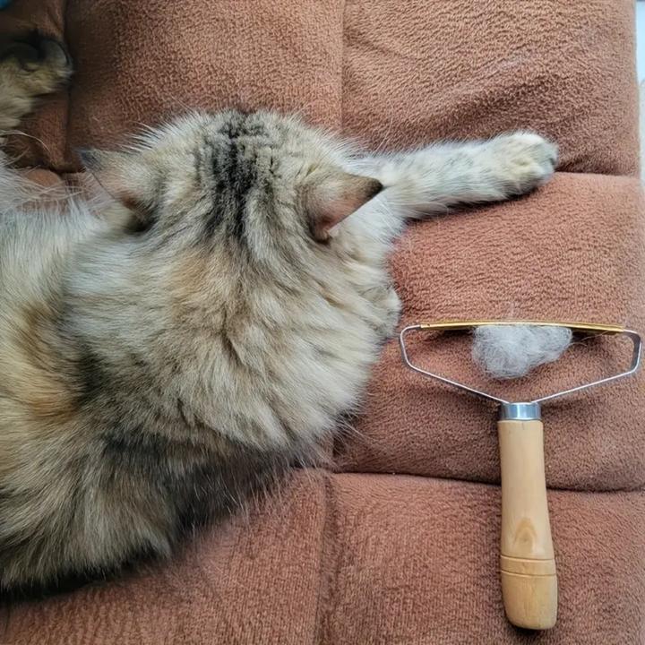Actual product image Suba Lint remover for pet hair
