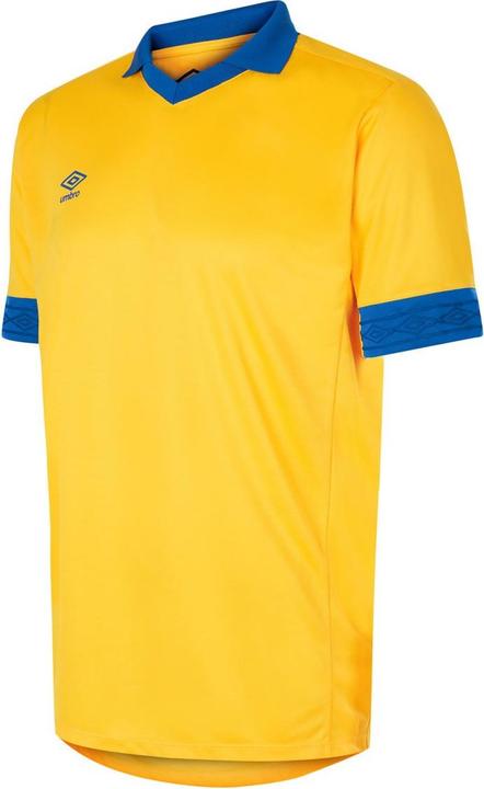 Jaune, Bleu roi