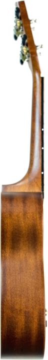 Actual product image Leho ALUS-M (Soprano, Soprano)