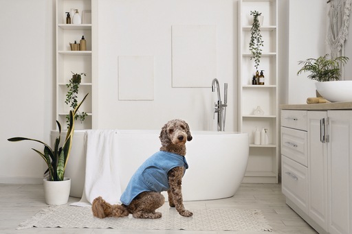 Produktbild Beeztees Hundebademantel Aras (Hundebademantel)