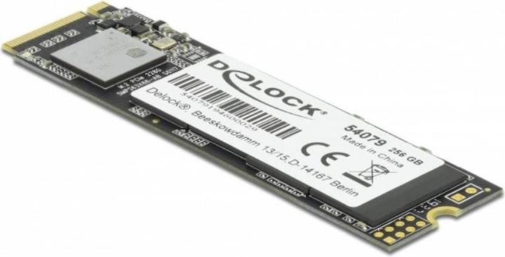 Image du produit Delock 54079 (256 Go, M.2 2280)