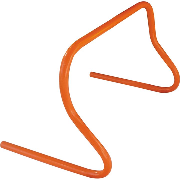 Huspo Ostacolo alla formazione (340 g)