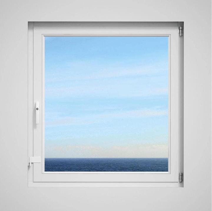 Actual product image Abus Fenstersicherheit