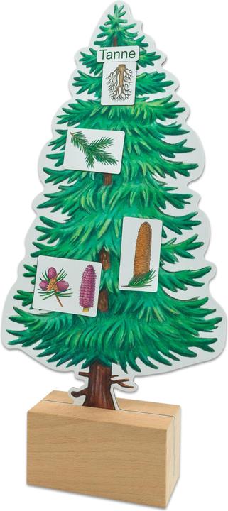 Produktbild Betzold Bäume bestimmen leicht gemacht mit Holzaufstellern (Deutsch)